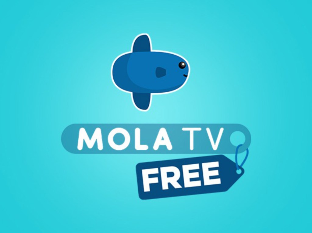 4 program terbaik di live streaming Mola TV, nonton gratis di Vidio.